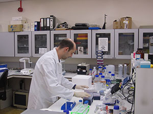 Crispr-Cas9 mutagenesis